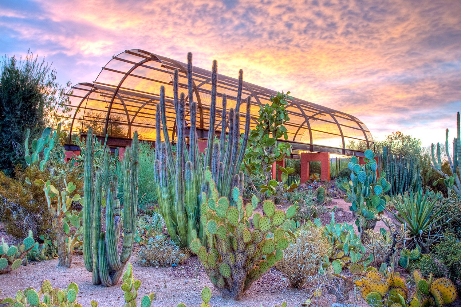 ¿Por qué Phoenix? Sí, Phoenix:es un lugar de verano épico 